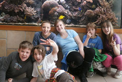 ASB Tagesgruppe 01844 Neustadt in Sachsen